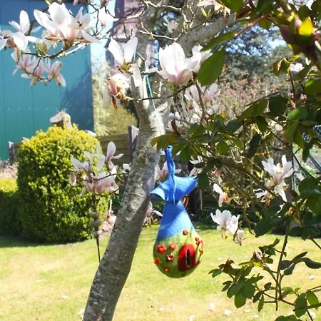 Appartement Struve Nr 2 Petersdorf auf Fehmarn