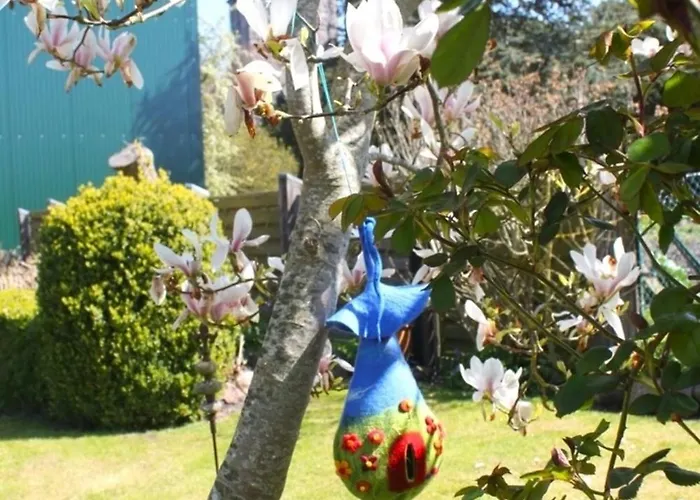 Lejlighed Struve Nr 2 Petersdorf auf Fehmarn