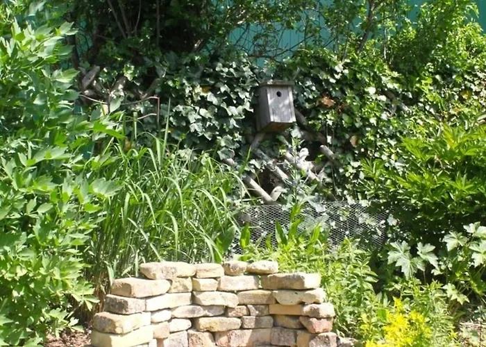 Struve Nr 2 Lejlighed Petersdorf auf Fehmarn